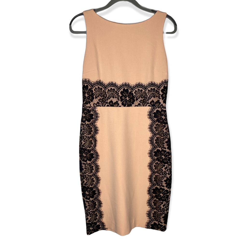 The Limited Blush w/ Black Lace Sleeveless Mid length Dress Women's Size 4